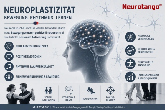 Neuroplastizität und Neuroregeneration